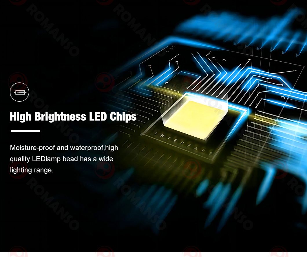 SOL刷新年度新高，飙升幅高达238%，还还来得及吗？